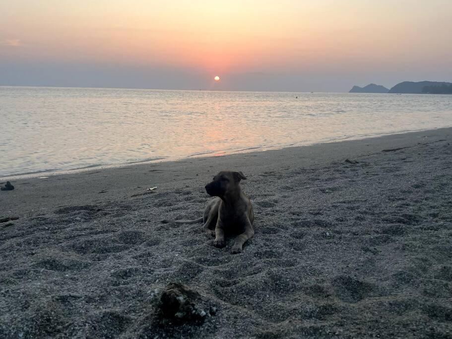 Sunset Serenity Cove Koh Phangan Eksteriør billede